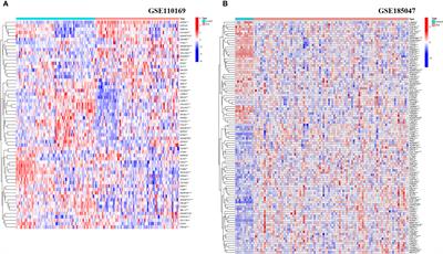 Bioinformatics-based analysis of the roles of basement membrane-related gene AGRN in systemic lupus erythematosus and pan-cancer development